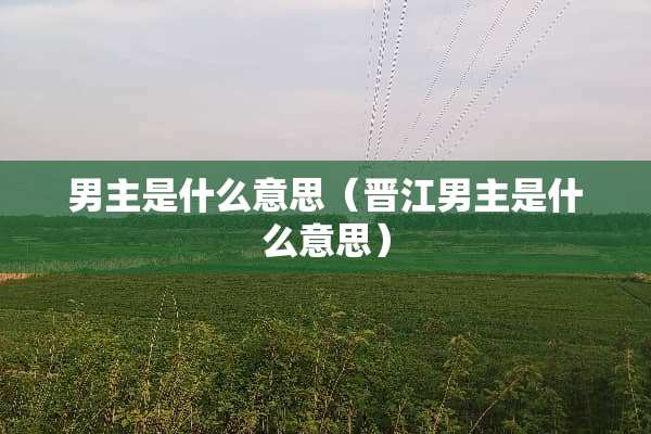 男主是什么意思（晋江男主是什么意思）