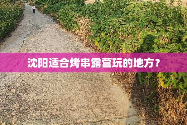 沈阳适合烤串露营玩的地方？