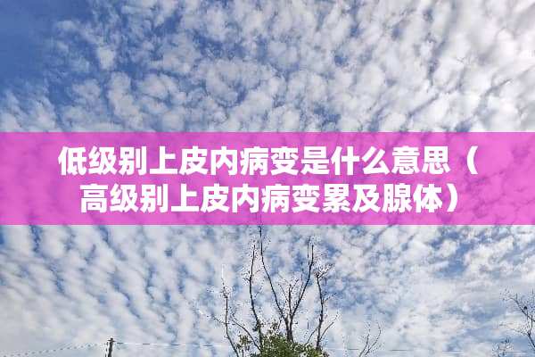 低级别上皮内病变是什么意思（高级别上皮内病变累及腺体）
