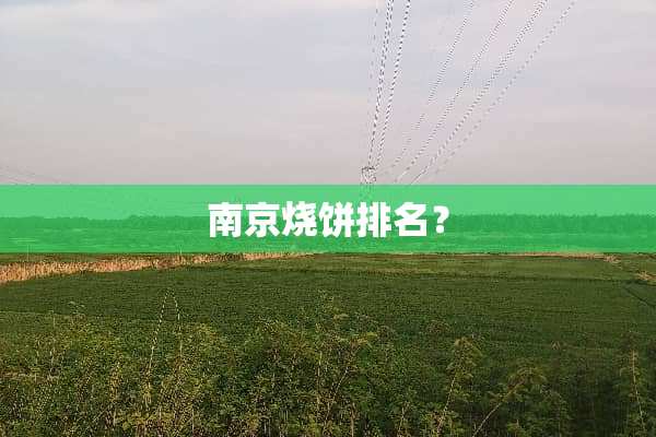 南京烧饼排名？