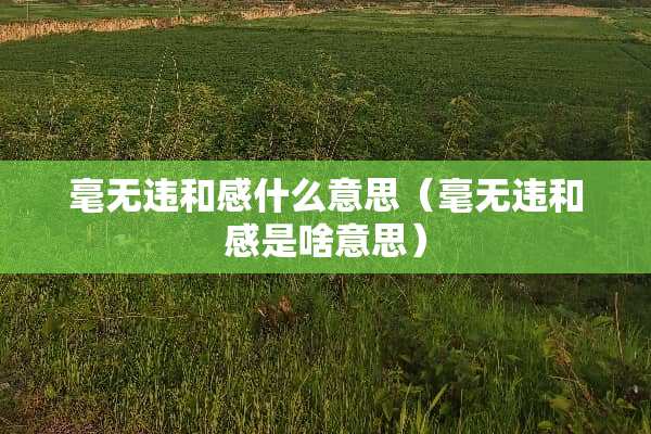 毫无违和感什么意思（毫无违和感是啥意思）