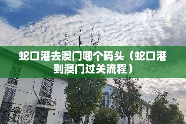 蛇口港去澳门哪个码头（蛇口港到澳门过关流程）