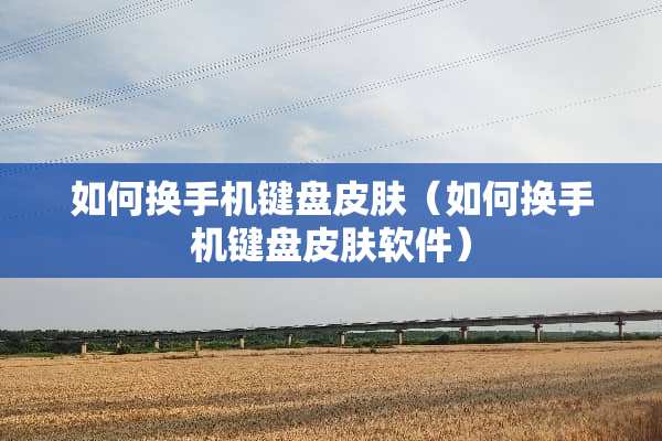 如何换手机键盘皮肤（如何换手机键盘皮肤软件）