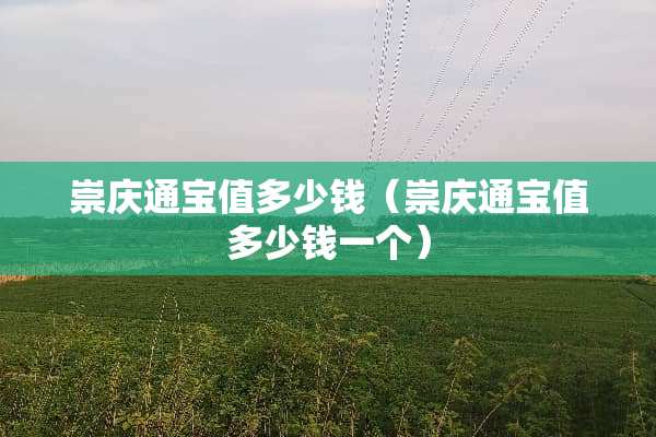 崇庆通宝值多少钱（崇庆通宝值多少钱一个）