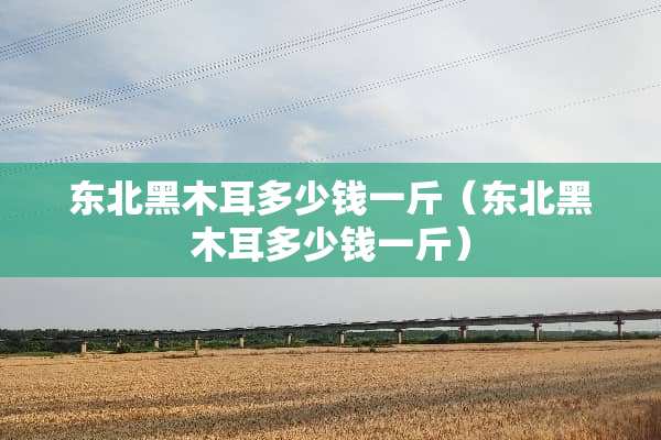 东北黑木耳多少钱一斤（东北黑木耳多少钱一斤）