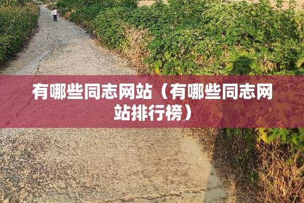 有哪些同志网站（有哪些同志网站排行榜）