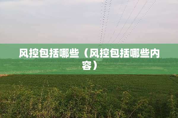 风控包括哪些（风控包括哪些内容）