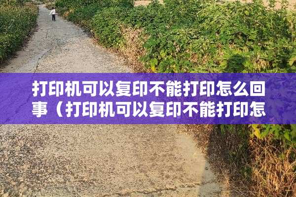 打印机可以复印不能打印怎么回事（打印机可以复印不能打印怎么回事显示缺纸）