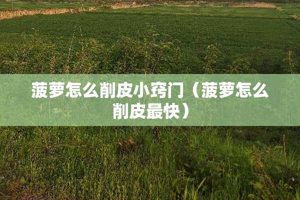 菠萝怎么削皮小窍门（菠萝怎么削皮最快）