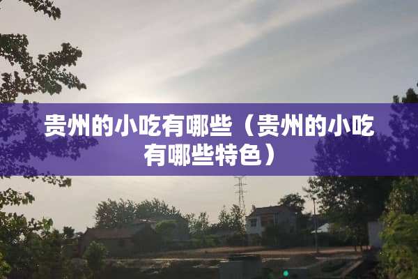 贵州的小吃有哪些（贵州的小吃有哪些特色）