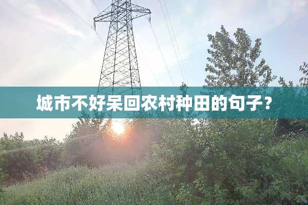 城市不好呆回农村种田的句子？