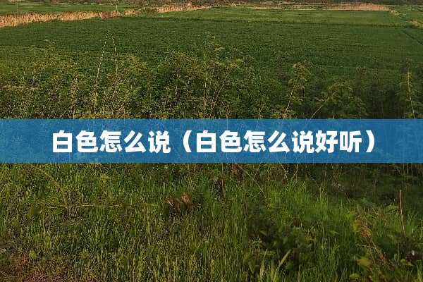 白色怎么说（白色怎么说好听）