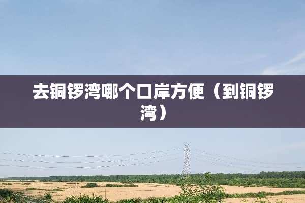 去铜锣湾哪个口岸方便（到铜锣湾）