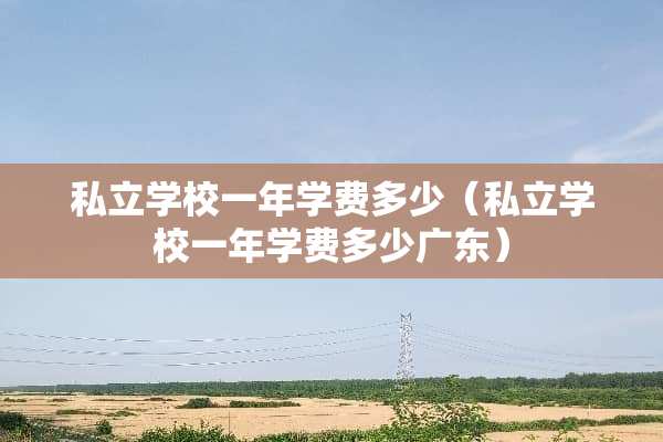 私立学校一年学费多少（私立学校一年学费多少广东）