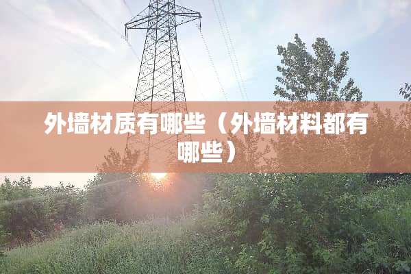 外墙材质有哪些（外墙材料都有哪些）