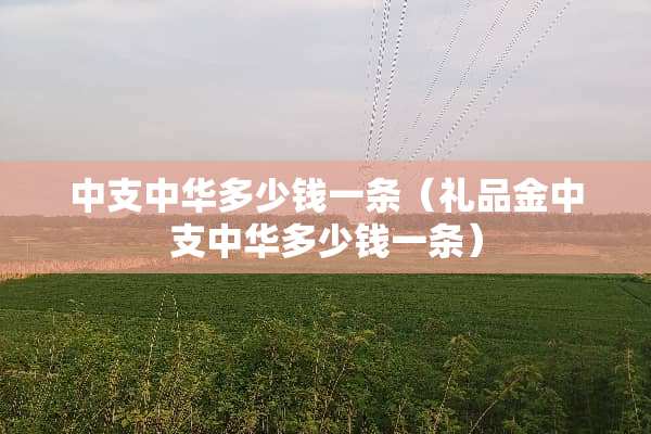 中支中华多少钱一条（礼品金中支中华多少钱一条）