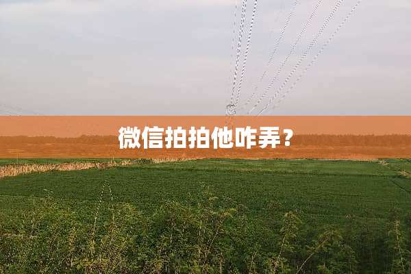 微信拍拍他咋弄？