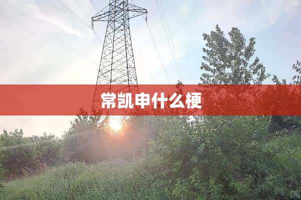 常凯申什么梗