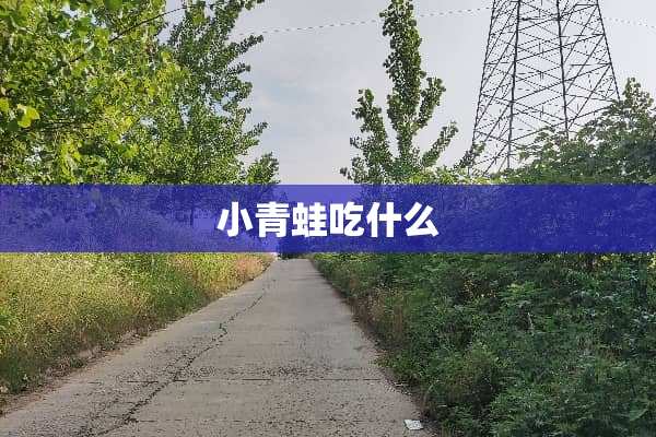 小青蛙吃什么