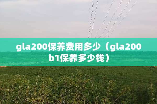 gla200保养费用多少（gla200b1保养多少钱）