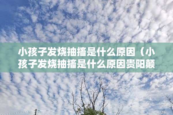 小孩子发烧抽搐是什么原因（小孩子发烧抽搐是什么原因贵阳颠康简介）