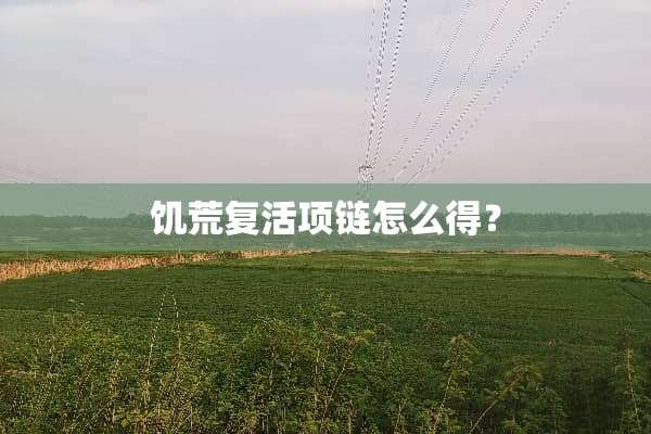 饥荒**项链怎么得？