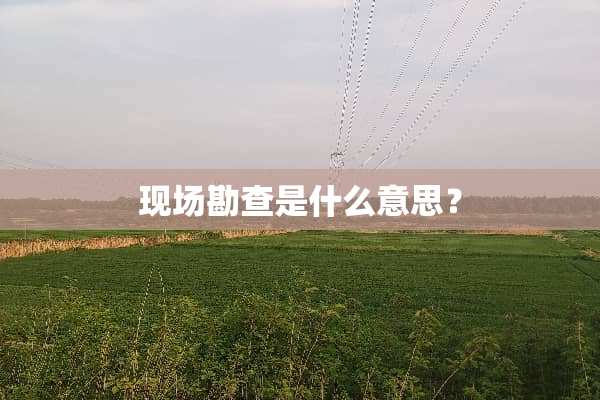 现场勘查是什么意思？