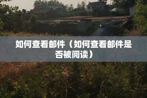 如何查看邮件（如何查看邮件是否被阅读）