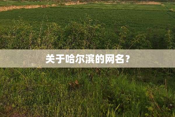 关于哈尔滨的网名？