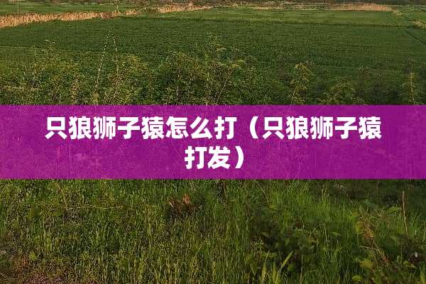 只狼狮子猿怎么打（只狼狮子猿打发）