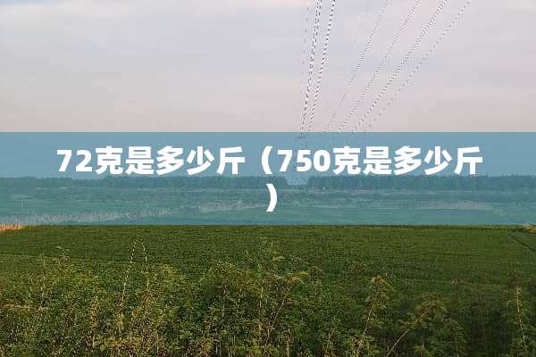 72克是多少斤（750克是多少斤）