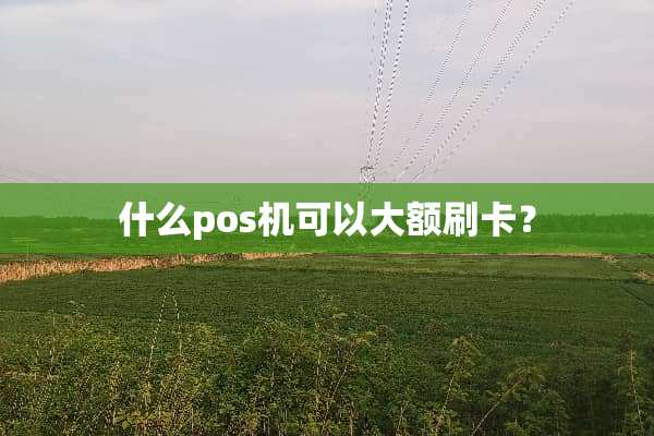 什么pos机可以大额刷卡？