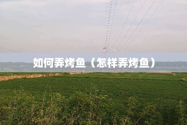 如何弄烤鱼（怎样弄烤鱼）