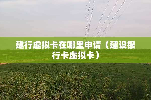 建行虚拟卡在哪里申请（建设***虚拟卡）