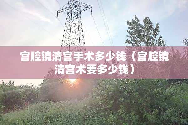 宫腔镜清宫手术多少钱（宫腔镜清宫术要多少钱）