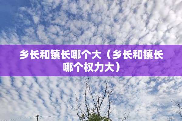 乡长和镇长哪个大（乡长和镇长哪个权力大）