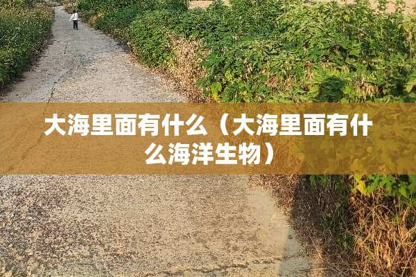 大海里面有什么（大海里面有什么海洋生物）