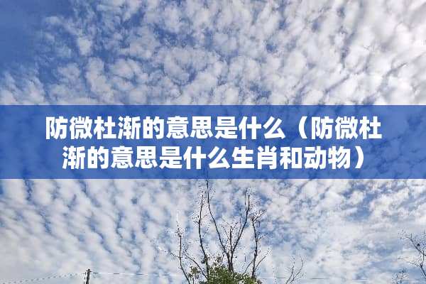 防微杜渐的意思是什么（防微杜渐的意思是什么生肖和动物）