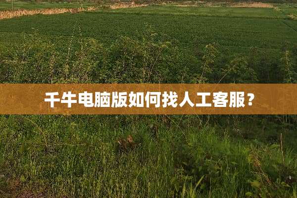 千牛电脑版如何找人工客服？