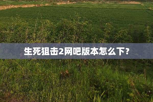 生死**2网吧版本怎么下？