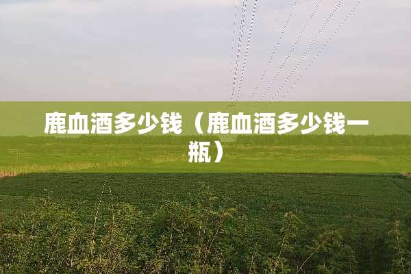 鹿血酒多少钱（鹿血酒多少钱一瓶）