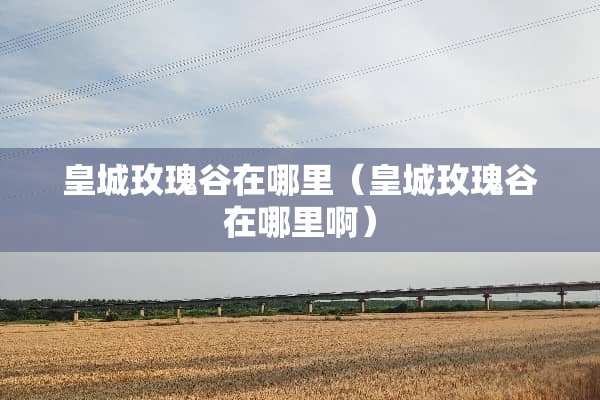 皇城玫瑰谷在哪里（皇城玫瑰谷在哪里啊）