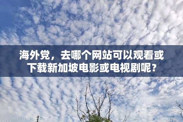 海外*，去哪个网站可以观看或下载新加坡电影或电视剧呢？