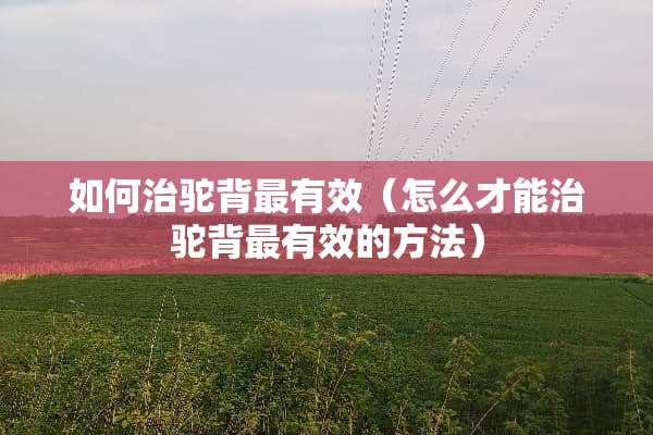 如何治驼背最有效（怎么才能治驼背最有效的方法）