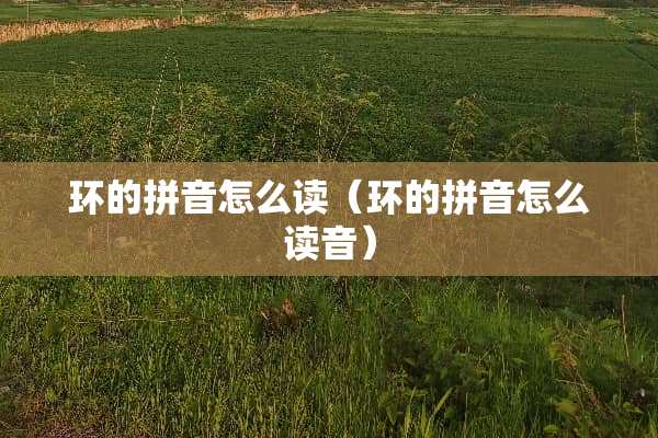 环的拼音怎么读（环的拼音怎么读音）