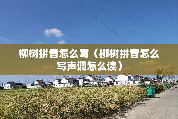 柳树拼音怎么写（柳树拼音怎么写声调怎么读）