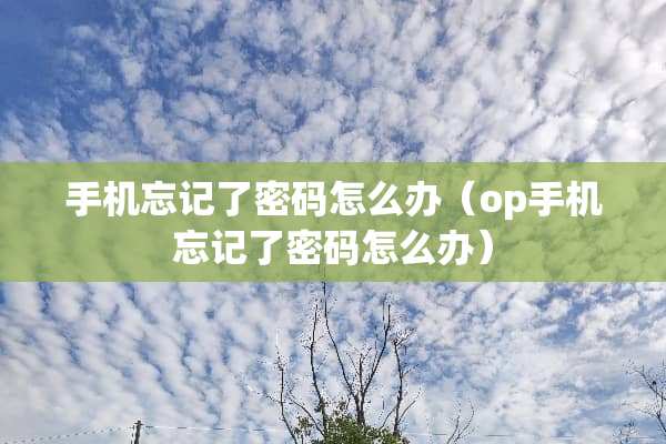 手机忘记了密码怎么办（op手机忘记了密码怎么办）