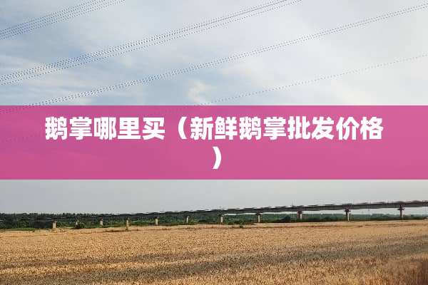 鹅掌哪里买（新鲜鹅掌批发价格）