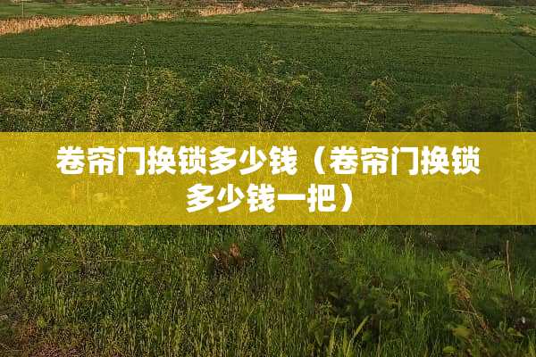 卷帘门换锁多少钱（卷帘门换锁多少钱一把）