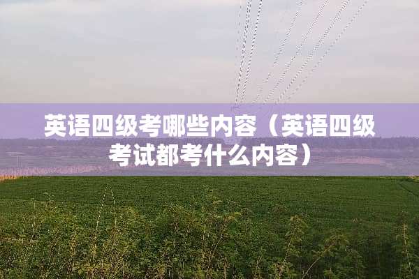 英语四级考哪些内容（英语四级考试都考什么内容）